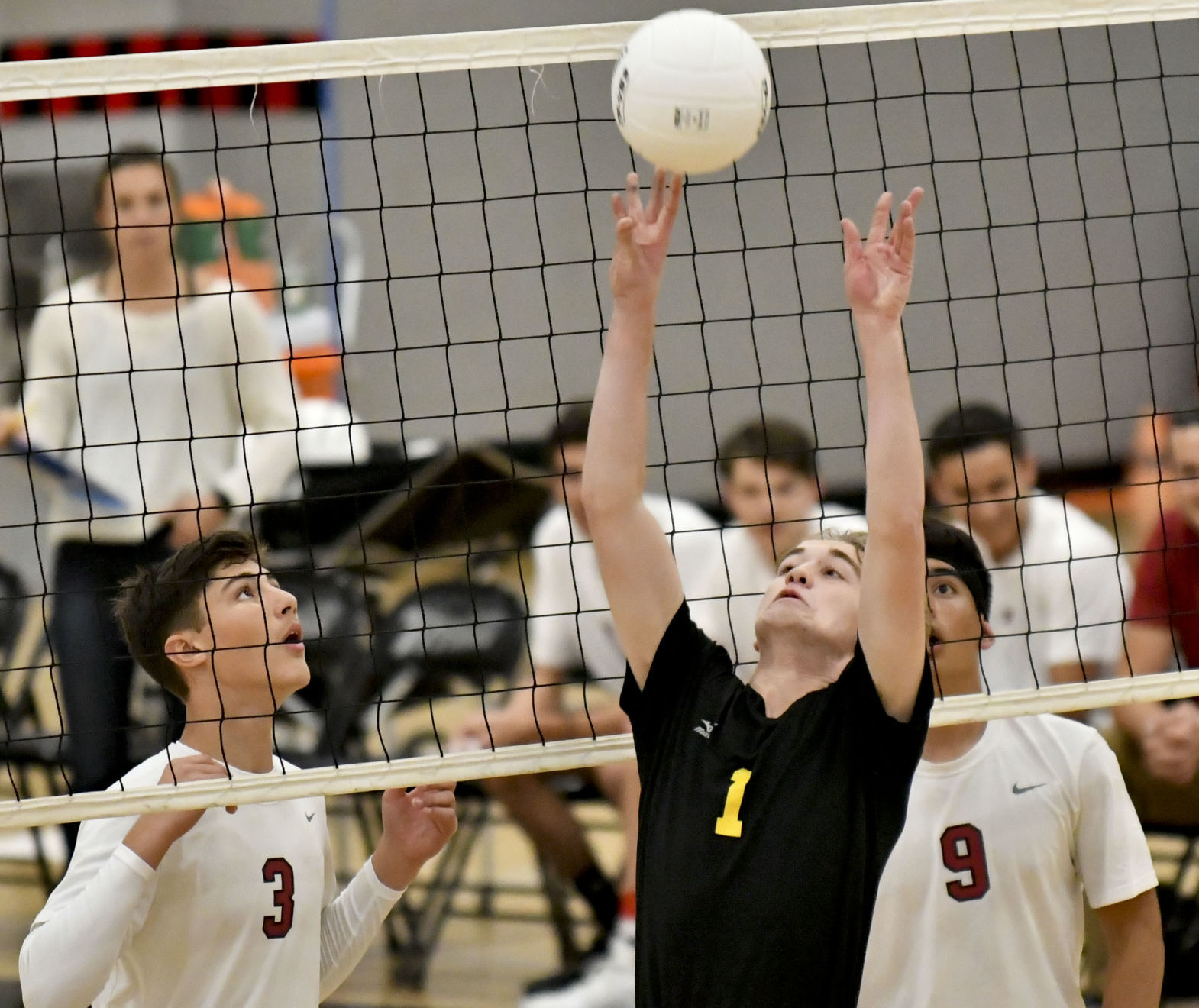 031318 CHS NHS volleyball 05.jpg